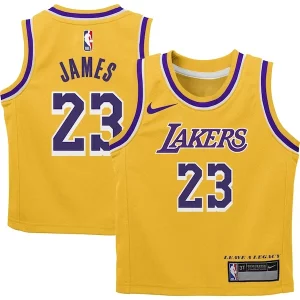 Gorgeous LeBron James Los Angeles Lakers Nike Preschool Dri FIT Swingman Player Jersey Icon Edition Gold
