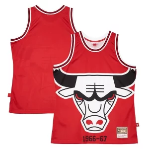 Premium Chicago Bulls Hardwood Classics Blown Out Fashion Jersey Red