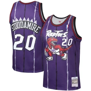 Premium Damon Stoudamire Toronto Raptors 1995/96 Hardwood Classics Swingman Jersey Purple